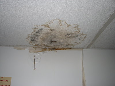 Celing water stain and damage